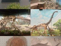 -辽宁古生物博物馆