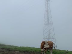 -蔚县茶山村