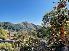 -潭柘寺景区