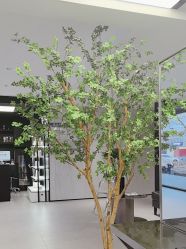 -付军剪艺JF ProSalon