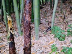 -长乐公园游乐场