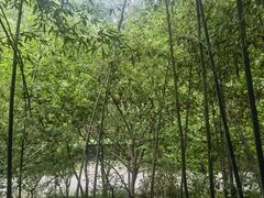 -西安祥峪森林公园