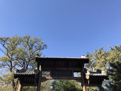 -阳台山自然风景区