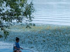 -西昌邛海湿地