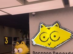 -浣熊唱片店(上海影城店)