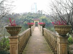 -百林公园-两江幸福广场