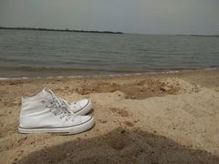 -瑶湖郊野森林公园