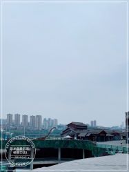 -恐龙探索乐园(磁器口店)