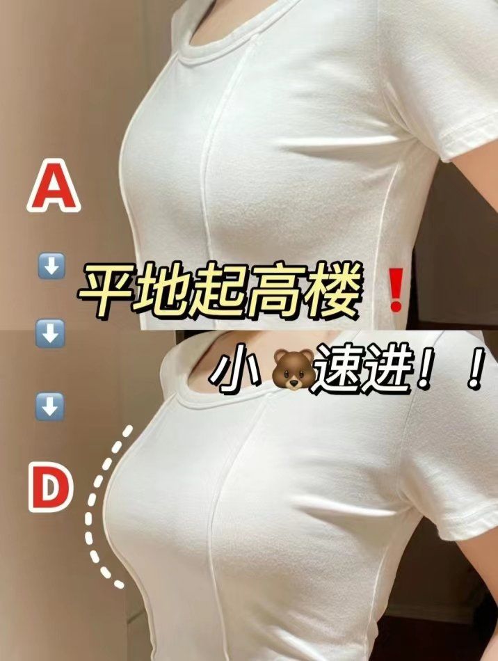 之前就是圆盘小胸,但是总觉得不满意特别是