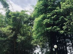 -晓港公园