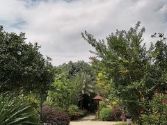 -林丰温泉度假山庄