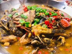 -农乐园食府(梅城镇店)