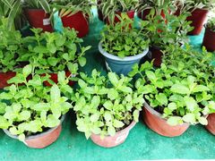 -大润发(勤业店)