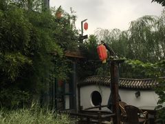 -慢丽江·云南野生菌土鸡锅(西山店)