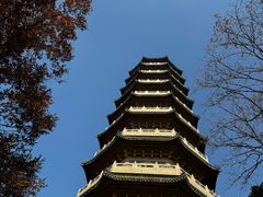 -灵谷景区