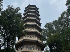 -灵谷景区