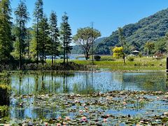 -广州市石门国家森林公园