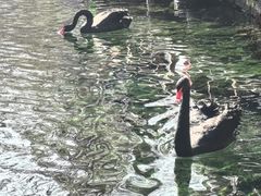 -水磨沟公园