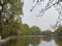 -北陵公园