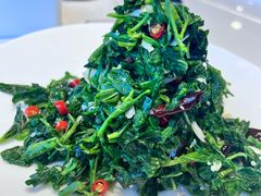凉拌南瓜尖-鑫巴蜀小镇 · 水煮鱼专研店(玉桥店)
