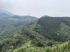 -灵山