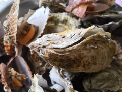 扇贝，生耗，-宾朋海鲜美食餐厅·特色美食(兴海路店)