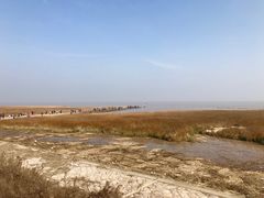 -南汇嘴观海公园