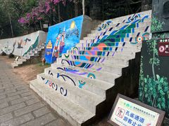 -西双版纳原始森林公园