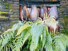 装饰墙-青城甲(青城山店)