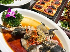 -云海肴·汽锅鸡·云南菜(南强街店)