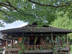 -乌镇东栅景区