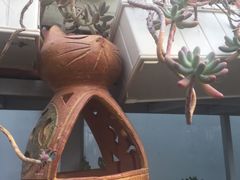 -小时光咖啡馆(北锣鼓巷店)