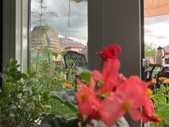 -玫瑰西餐厅.意面披萨.牛排咖啡