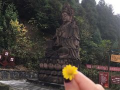 -武陵山森林公园