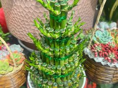 -FEI FEI FLOWER鲜花店·气球派对·宝宝宴布置(虹口德必运动Loft店)