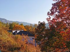 -塔川景区