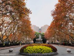 -同济大学（四平路校区）-图书馆