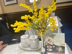 -COVA(新天地Xintiandi店)