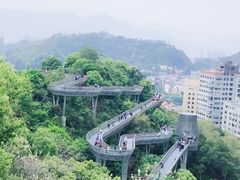 -金鸡山公园