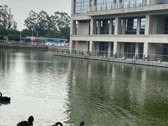 -厦门国家会计学院