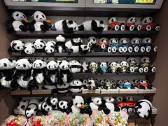 -匯智光华书店(首都机场T3店)