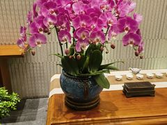 -一澜江宴·江景地标楚菜(江滩公园店)