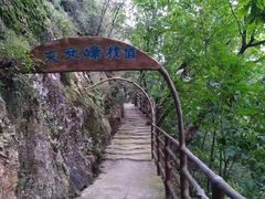 -天女山森林公园
