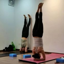 -兴亚瑜伽20年老馆