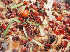 -老板恋上鱼(印象城店)