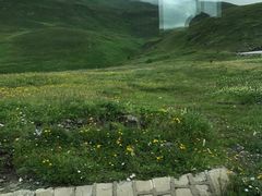 -长白山吉祥物天池水怪专卖