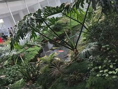 -罗红摄影艺术馆