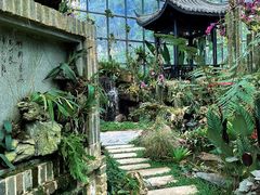 -东莞植物园