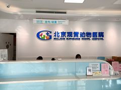 -北京观赏动物医院·24小时大型综合·猫专科·异宠专科