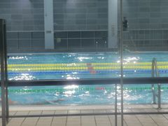 -同济大学四平路校区游泳馆